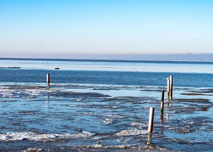 Διαμέρισμα Seerose By Interhome